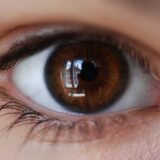 「“人の目が気になる子”」は“性格”じゃない──感覚過敏と“社会的安全感”の見えない関係