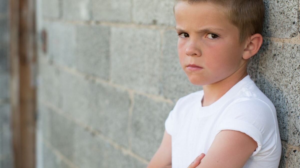 「“反抗的に見える子”」は“わざと反発している”のではなく、“脳が“支配されること”に過敏に反応している”のかもしれない？