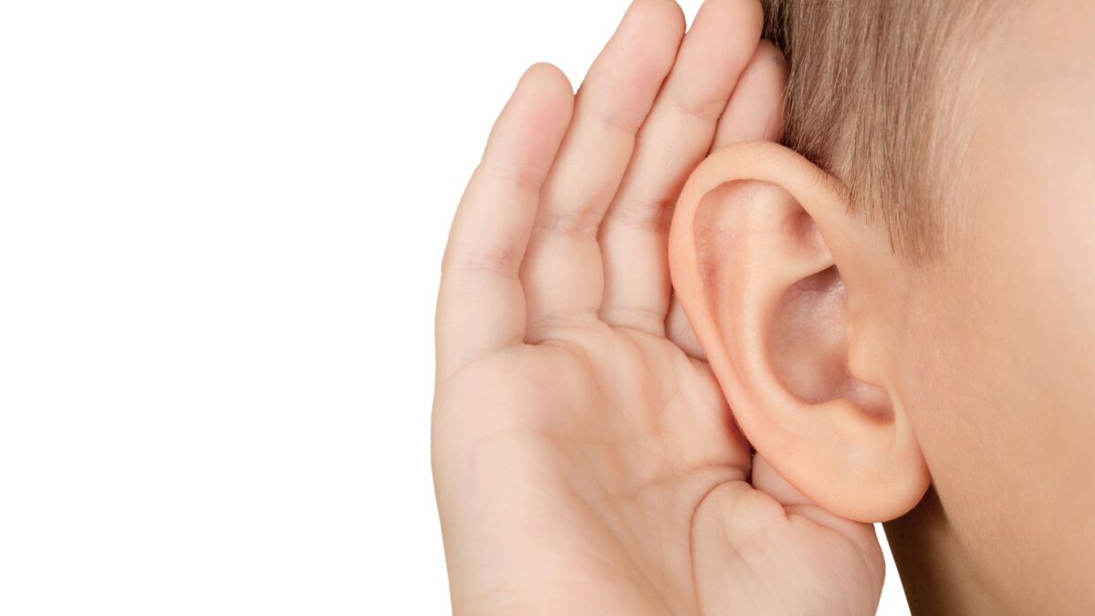 “英語が聞き取れない子”は、耳が悪いんじゃなく、“意味のある音”として脳が処理していないだけかも？