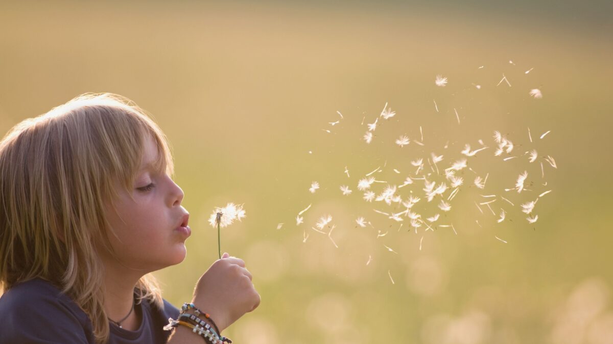“やりたいことがない子”は、無気力なんじゃなく、“問いの立て方”を教わってないだけかも？